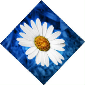 Picture3.jpg